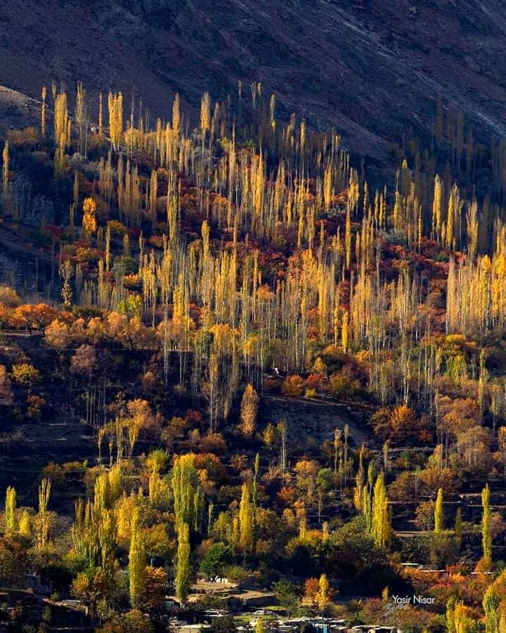 Village Homestay w/ Bonfire & Home Meals, HP - Kraming Khaplu, HP