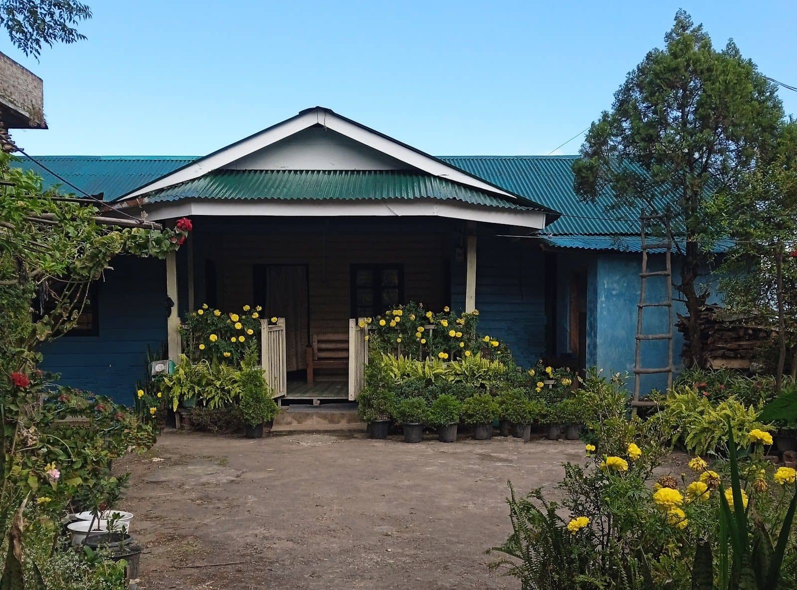 Women-Run Naga Cultural Homestay w/Veg Meals - Dzukou Valley photo 3