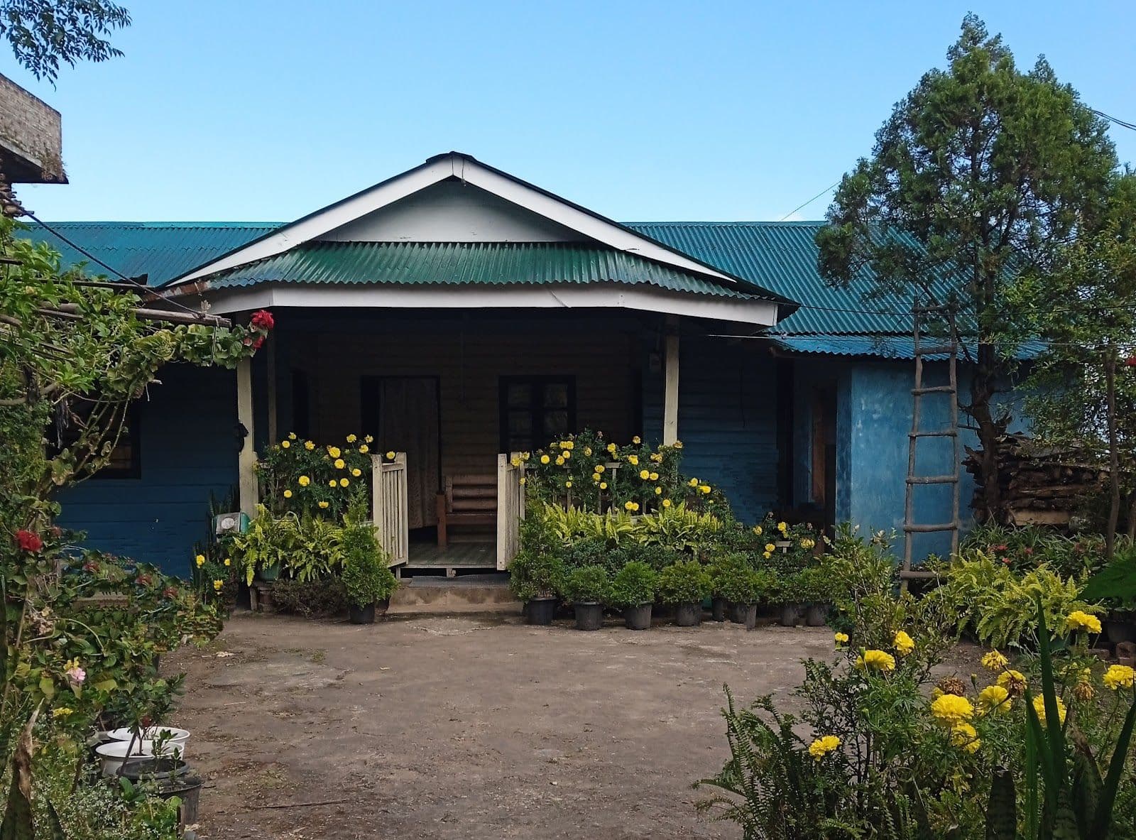 Women-Run Naga Cultural Homestay w/Veg Meals in Dzukou Valley 2