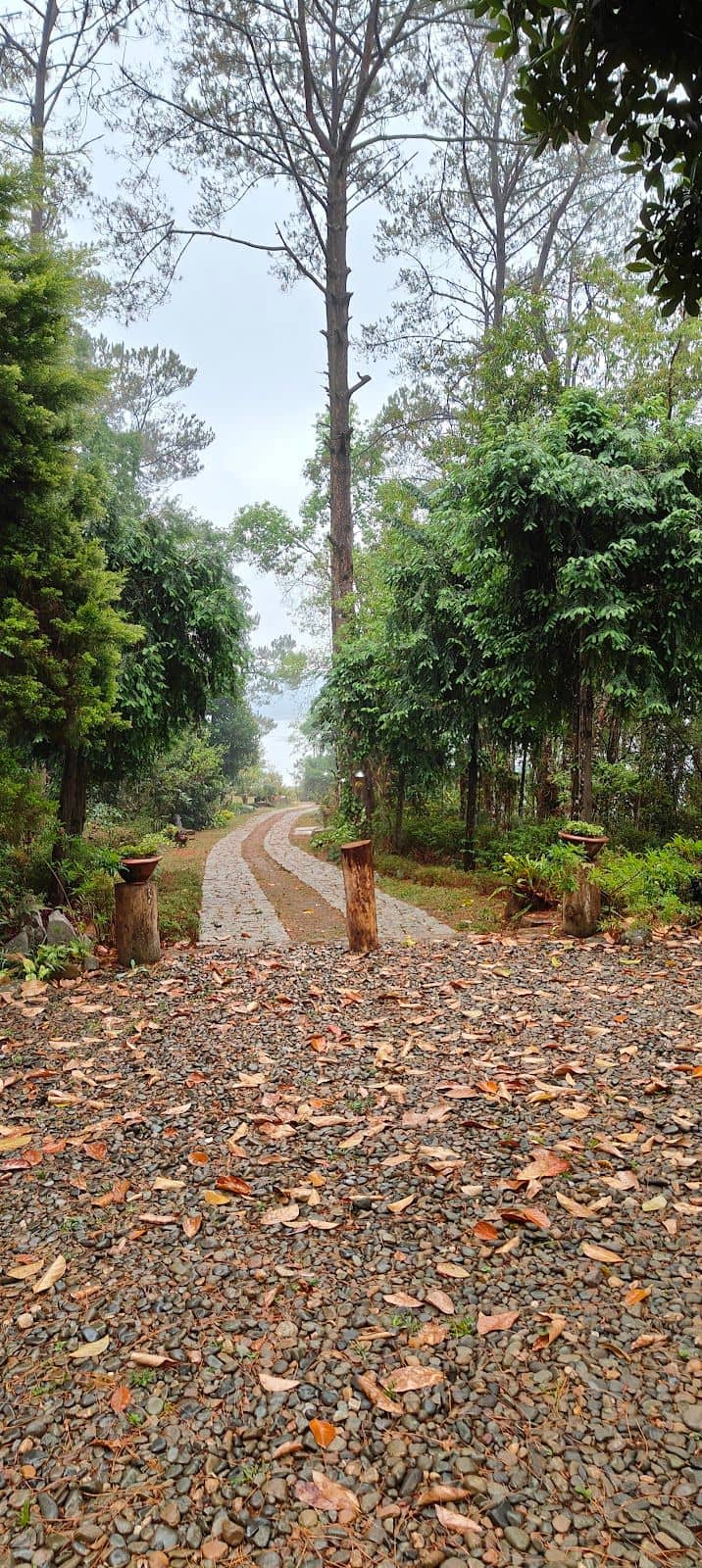4BR Lakeside Suite Rooms w/ infinity pool - Umiam photo 5