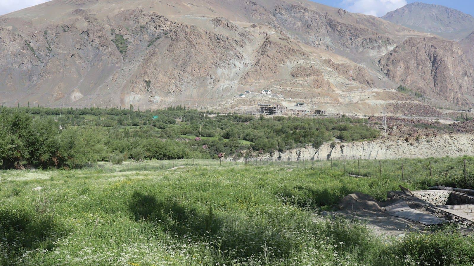 Organic Farm Homestay w/ Home Meals, Ladakh - Sankoo, Ladakh photo 3