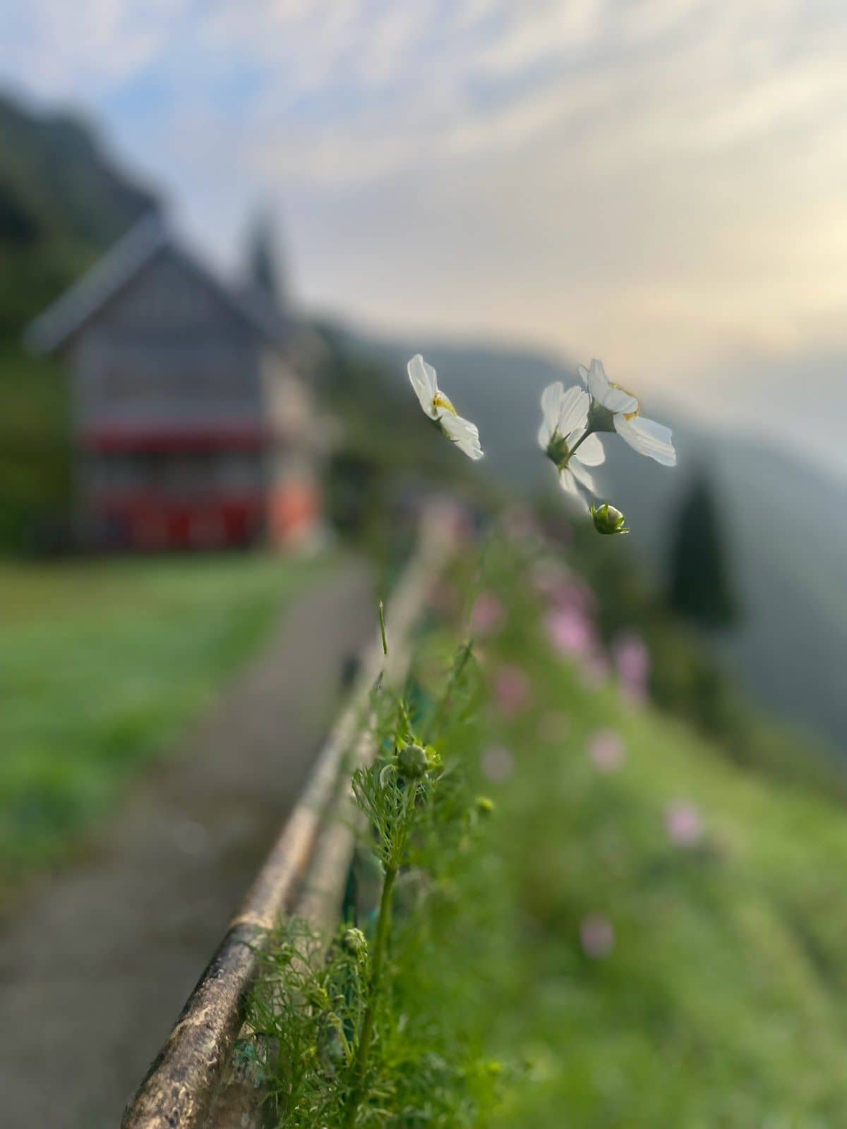 Immerse yourself in the serene beauty - Sittong photo 5