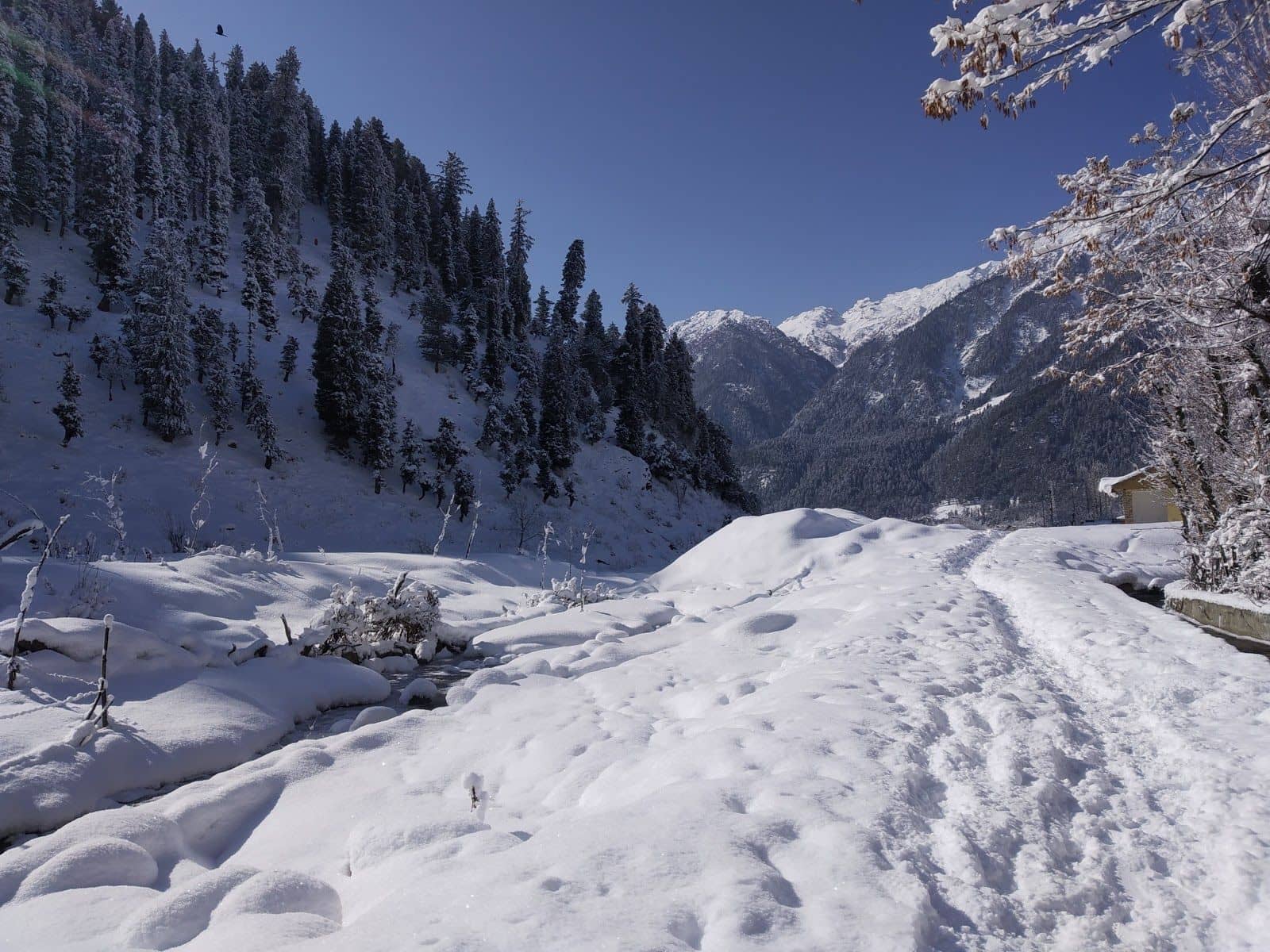 Spacious Homestay by the River, J&K - Jammu & Kashmir photo 5