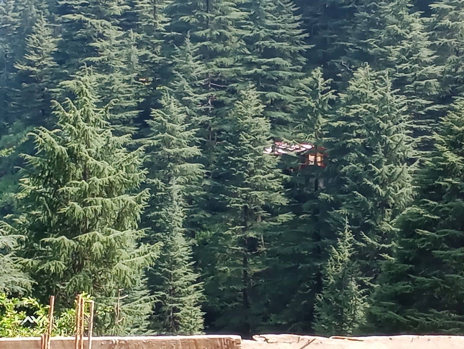 Cave-Adjacent Homestay w/ Home Meals, Uttarakhand - Patal Bhuvaneshwar, Uttarakhand photo 5