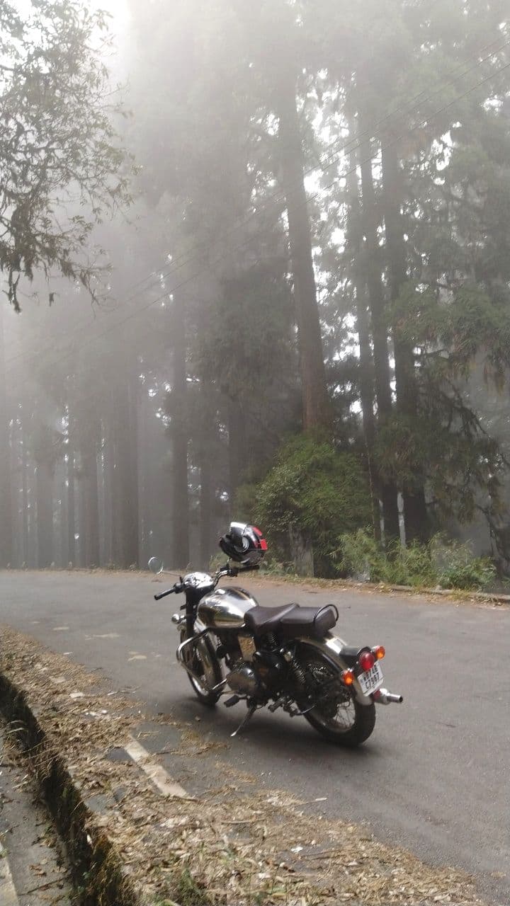 Serene Forest View Homestay in Tukdah in Takdah 8