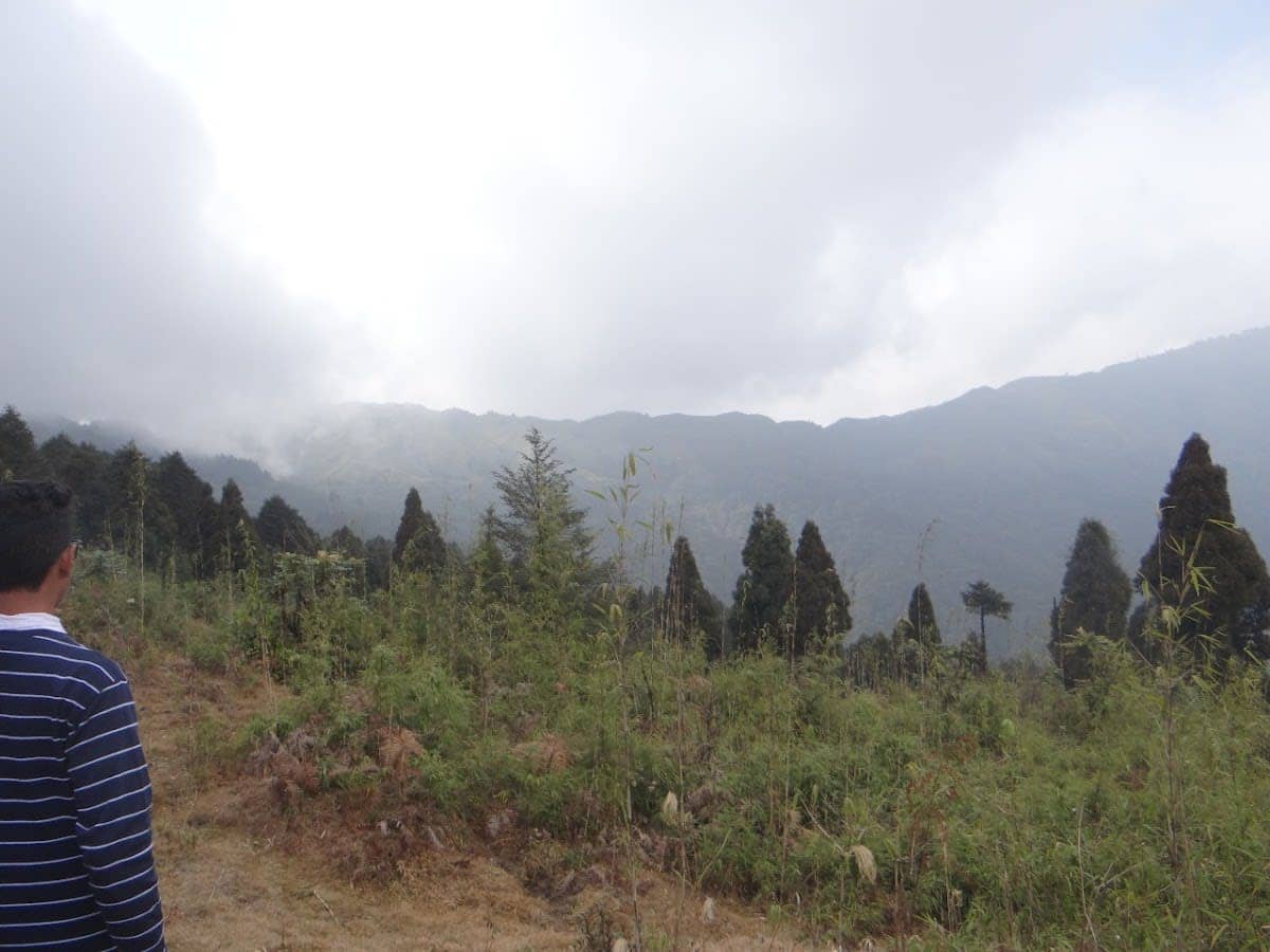 WFH from a Sherpa Zero Waste Farm w/ Sunset view - 12 mile, Paschim Busty, Senchal Wildlife Sanctuary photo 4