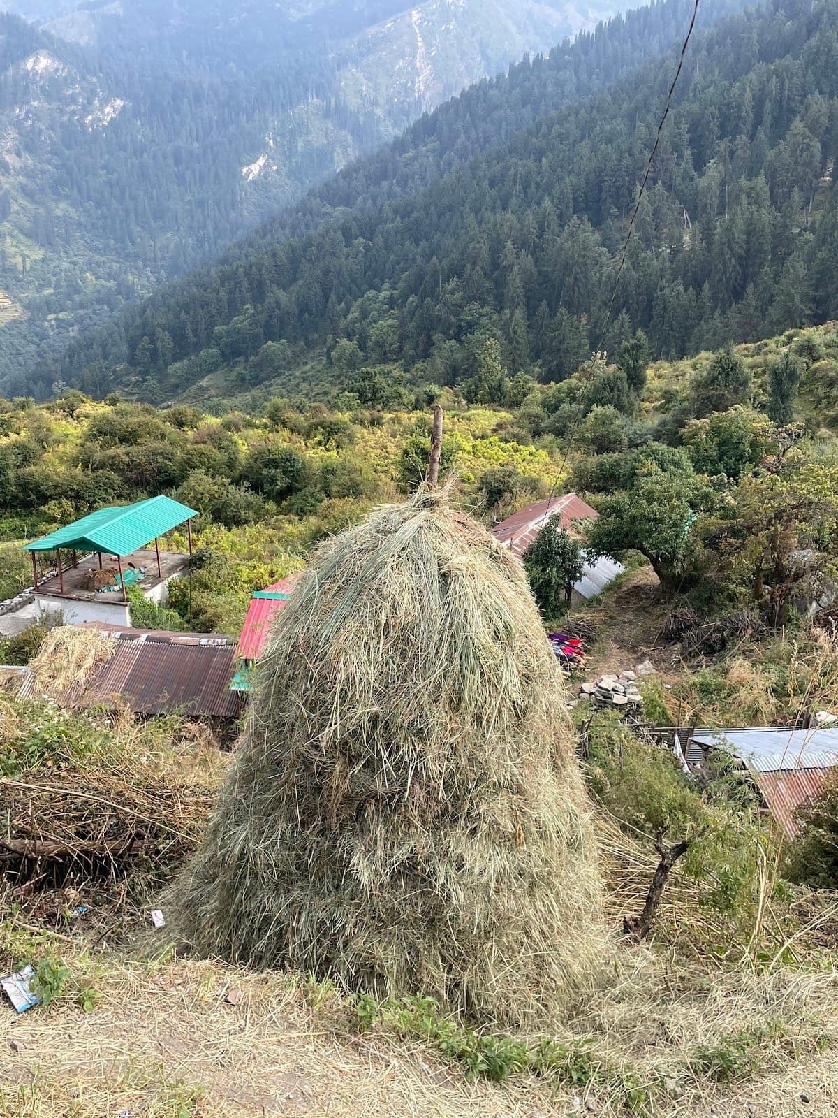 Homestay for Kuari Pass Trek, Home Meals, UT in Karchi, Uttarakhand 8