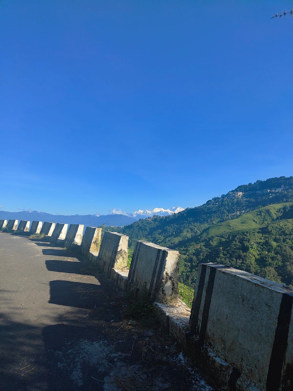 Offbeat Darjeeling Escape for Nature Lovers in Darjeeling 8