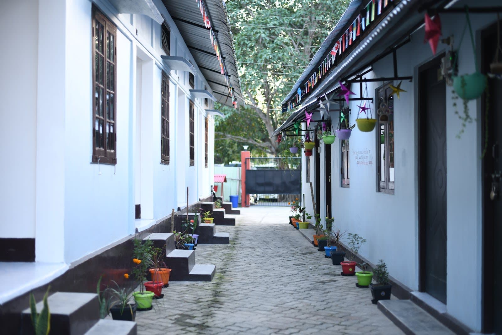 Your Private & Peaceful Assam Getaway in Karbi Anglong 1