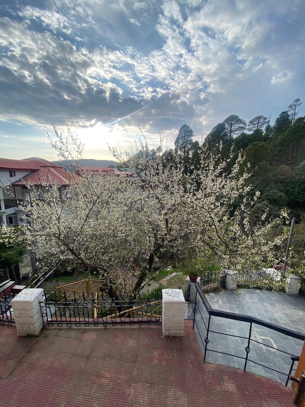 Homestay w/ Home Meals & Cafe, HP - Banikhet, HP photo 5