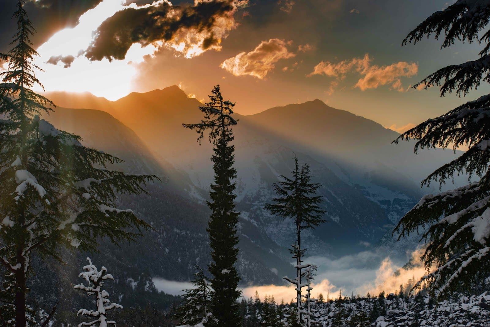 River-View Homestay w/ Home Meals & Yaks, HP in Himachal Pradesh 8