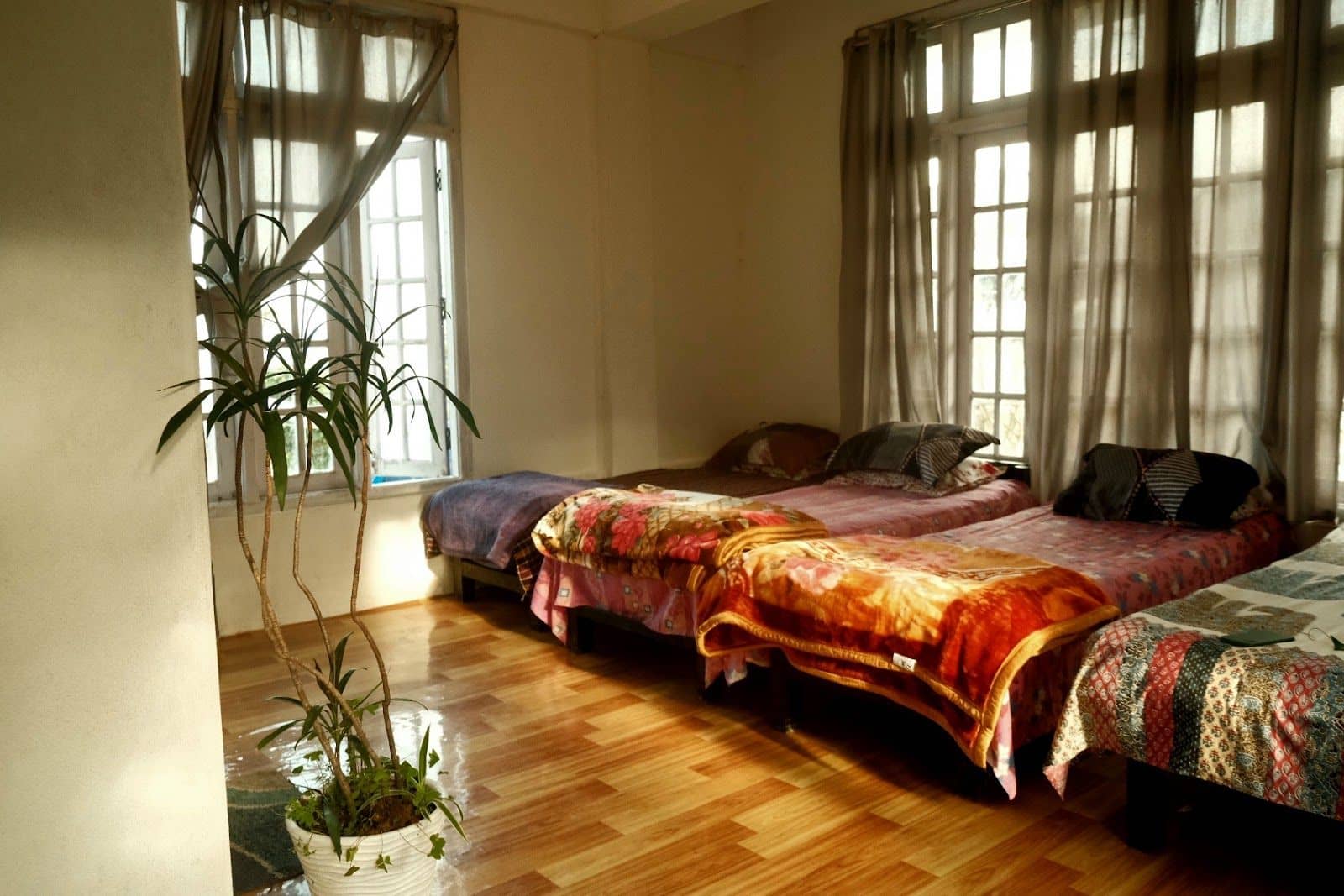 Host Rocco's Homestay w/ Naga Pork & Bonfire - Kohima photo 3