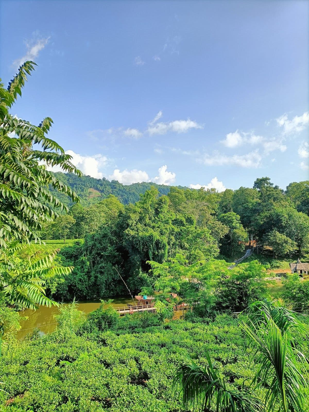 Assam Green Retreat: Delicious Food, Attentive in Karbi Anglong 8