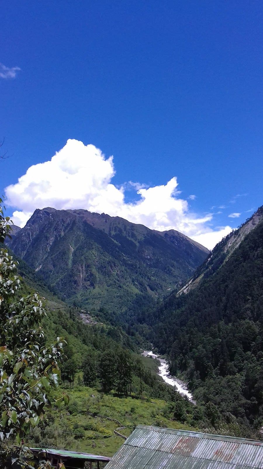Mtn View Stay w/ Fresh Food & Live Shows, Sikkim in Sikkim, Lachen 8