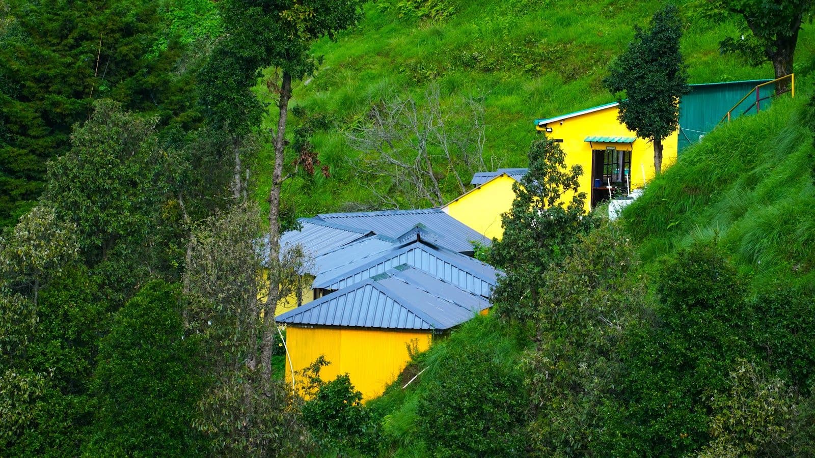 Peaceful Cottages w/ Winter Line Views, Uttarakhand in Uttarakhand 1