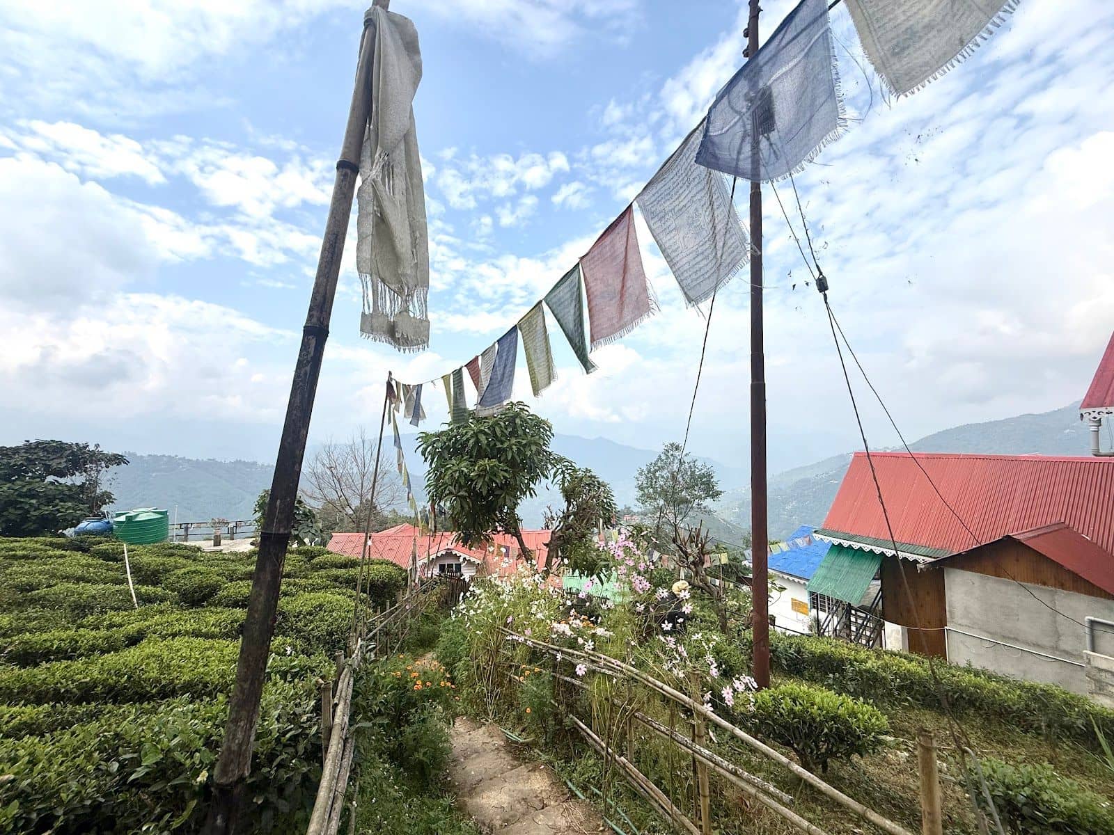 See Kanchanjunga, tea estate w/ all meals included - Khasmahal