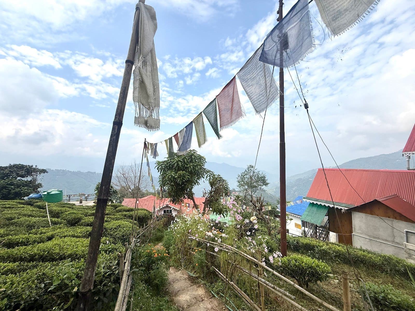 See Kanchanjunga, tea estate w/ all meals included in Khasmahal 1