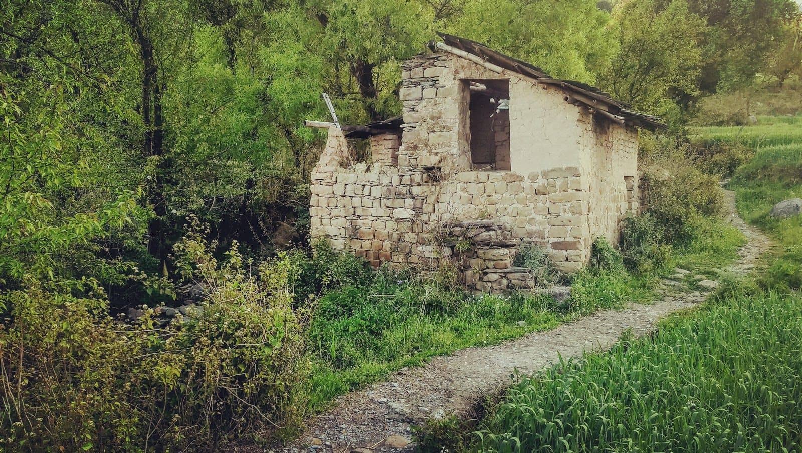 Riverside Homestay w/ Bonfires & Trails, HP - Dharamshala, HP photo 4