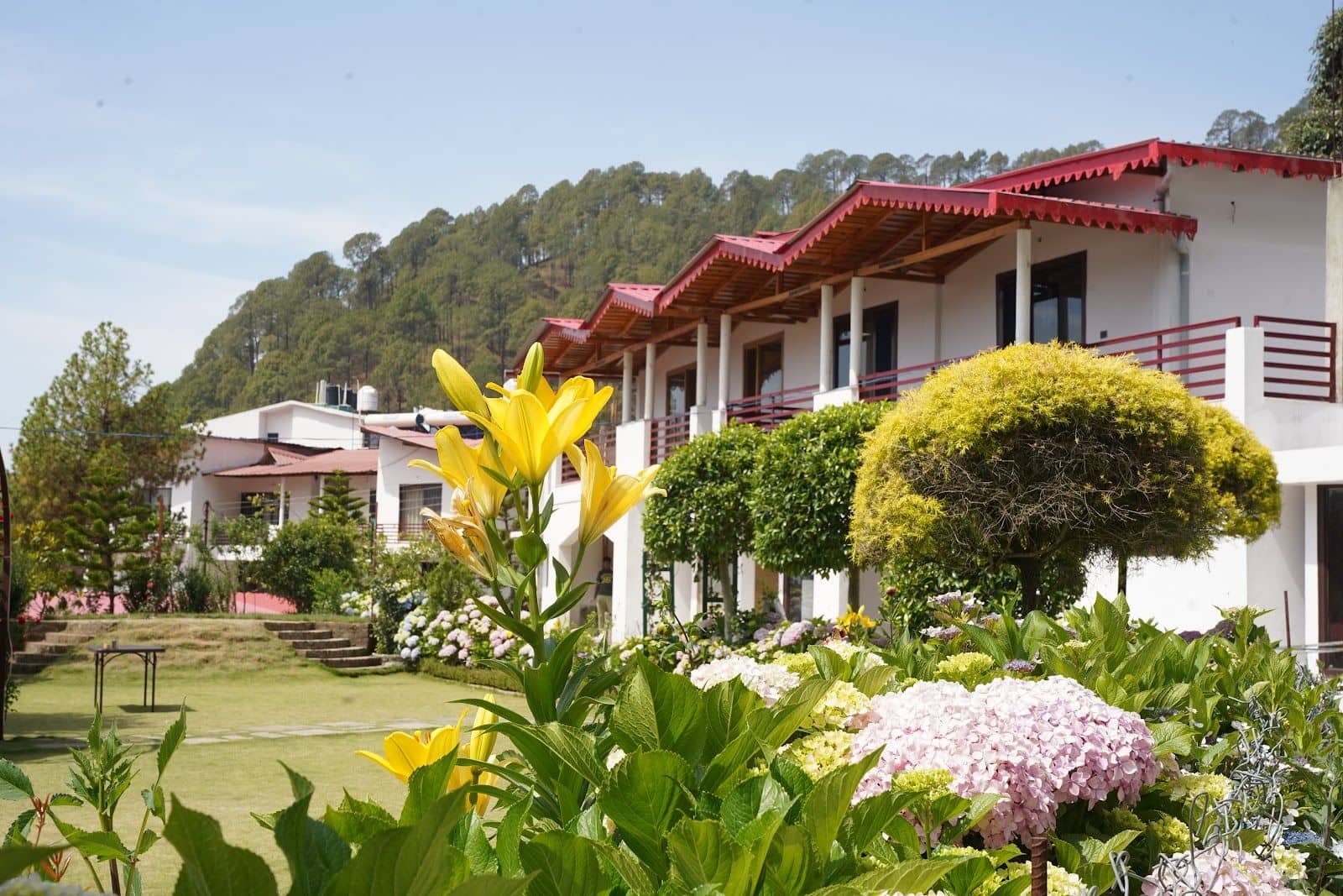 Hills View Resort w/ Home Meals & Staff - Nainital, Uttarakhand photo 4