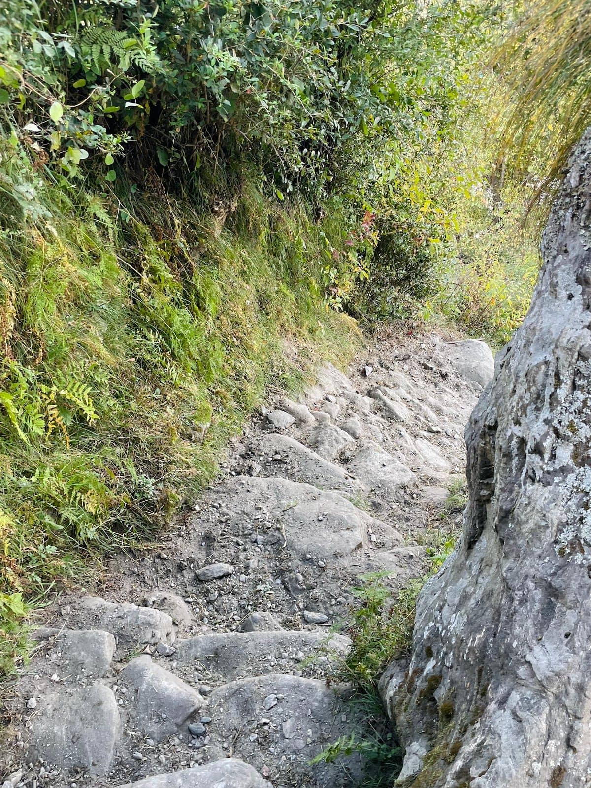 Homestay for Kuari Pass Trek, Home Meals, UT - Karchi, Uttarakhand photo 4