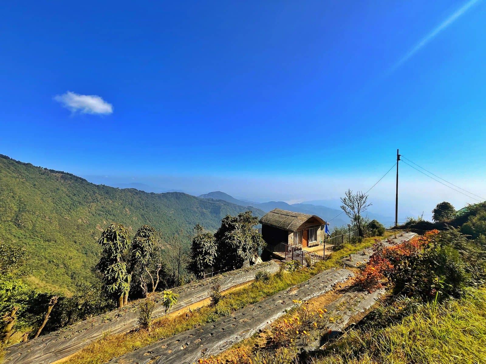 Kurseong Cozy Homestay with Majestic Views - Kurseong photo 4