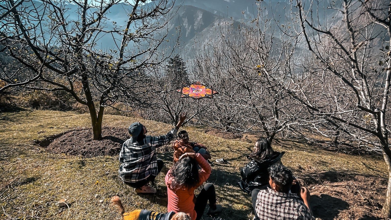 Wooden Duplex Cottages w/ Valley Views, HP in Naggar, HP 8