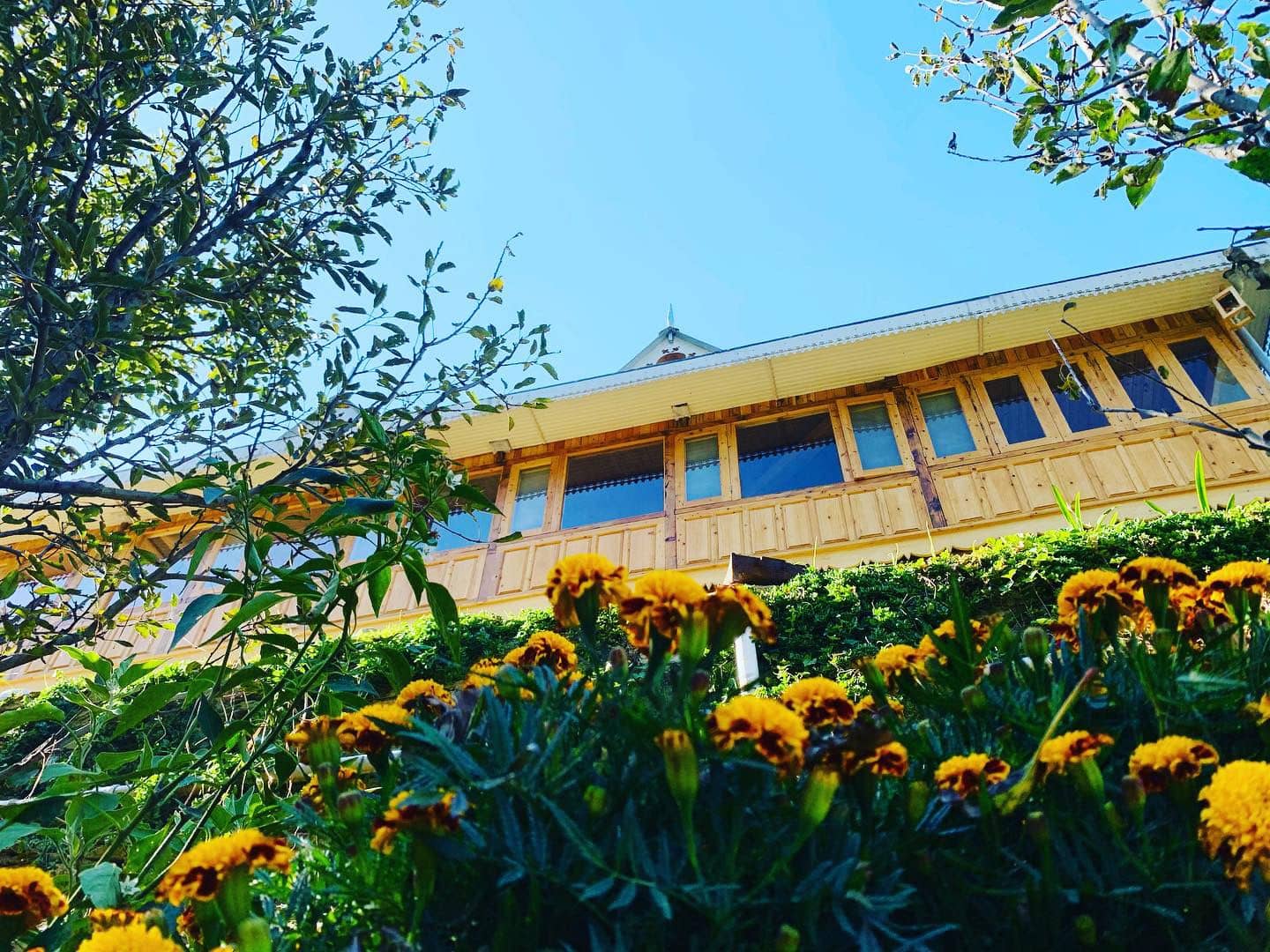 Wooden Homestay w/ Apple Orchards & Stream, HP - Jubbal, HP