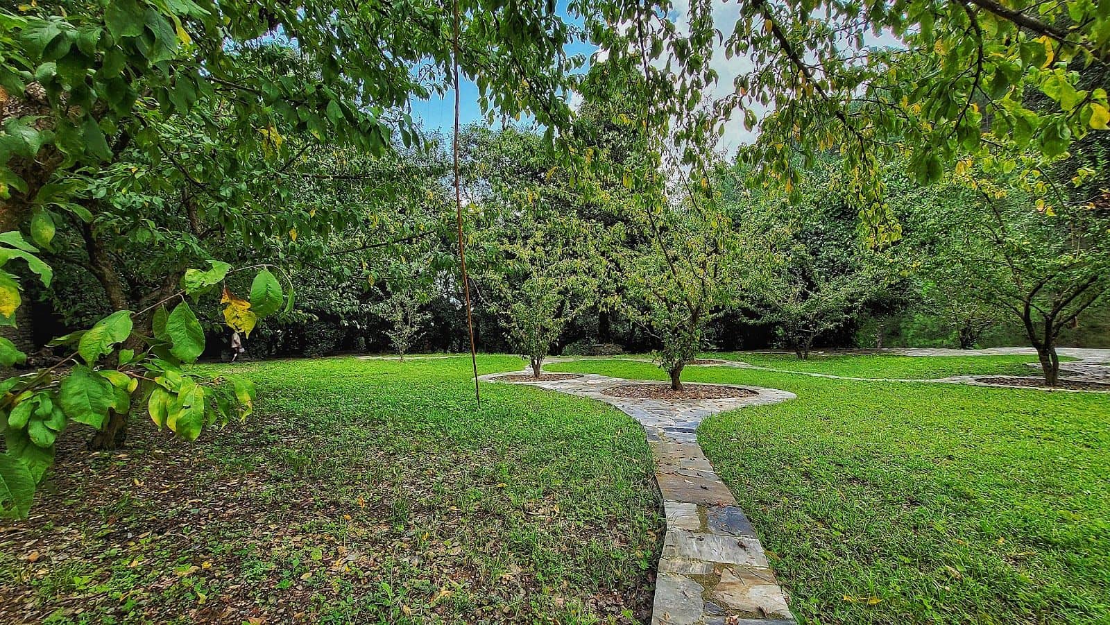 Pine Forest Cottages w/ Nature Walks, HP - Rajgarh, HP photo 4