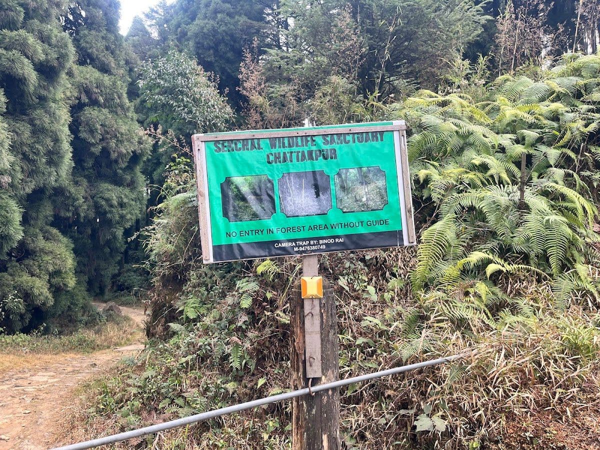 WFH from a Sherpa Zero Waste Farm w/ Sunset view in 12 mile, Paschim Busty, Senchal Wildlife Sanctuary 8