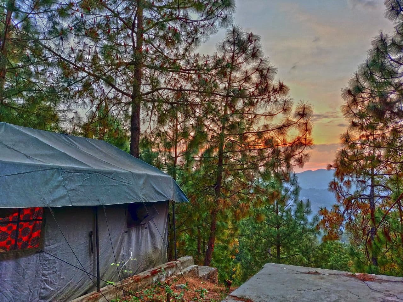 Forest Tents w/ Adventure & Home Meals, HP in Chail, HP 5
