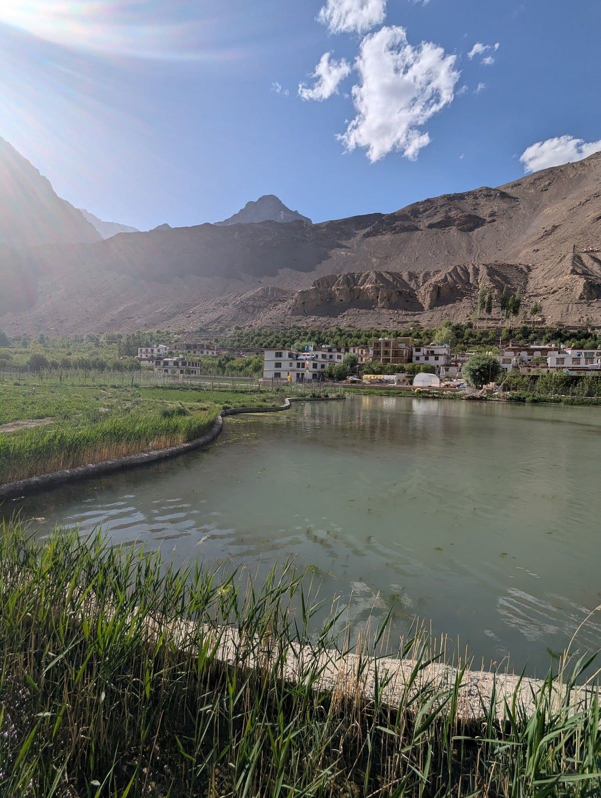 Himalayan Homestay w/ Home Meals & Treks, HP in Tabo, HP 8