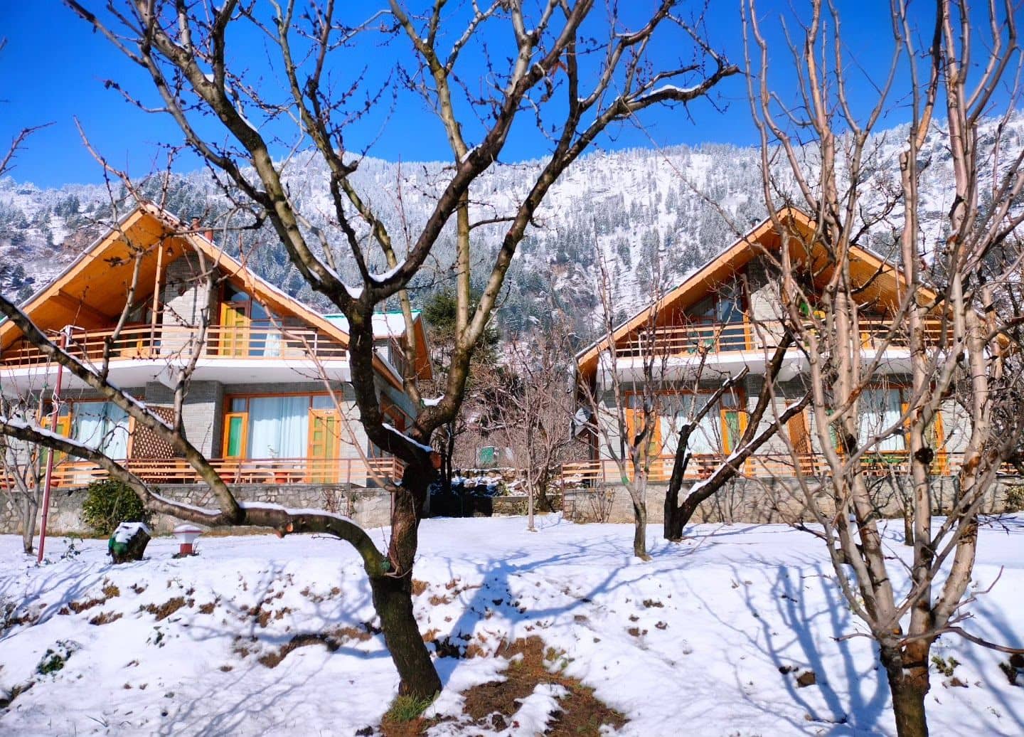 Mountain w/ Home Meals & Dogs, HP - Bashkola, HP photo 5