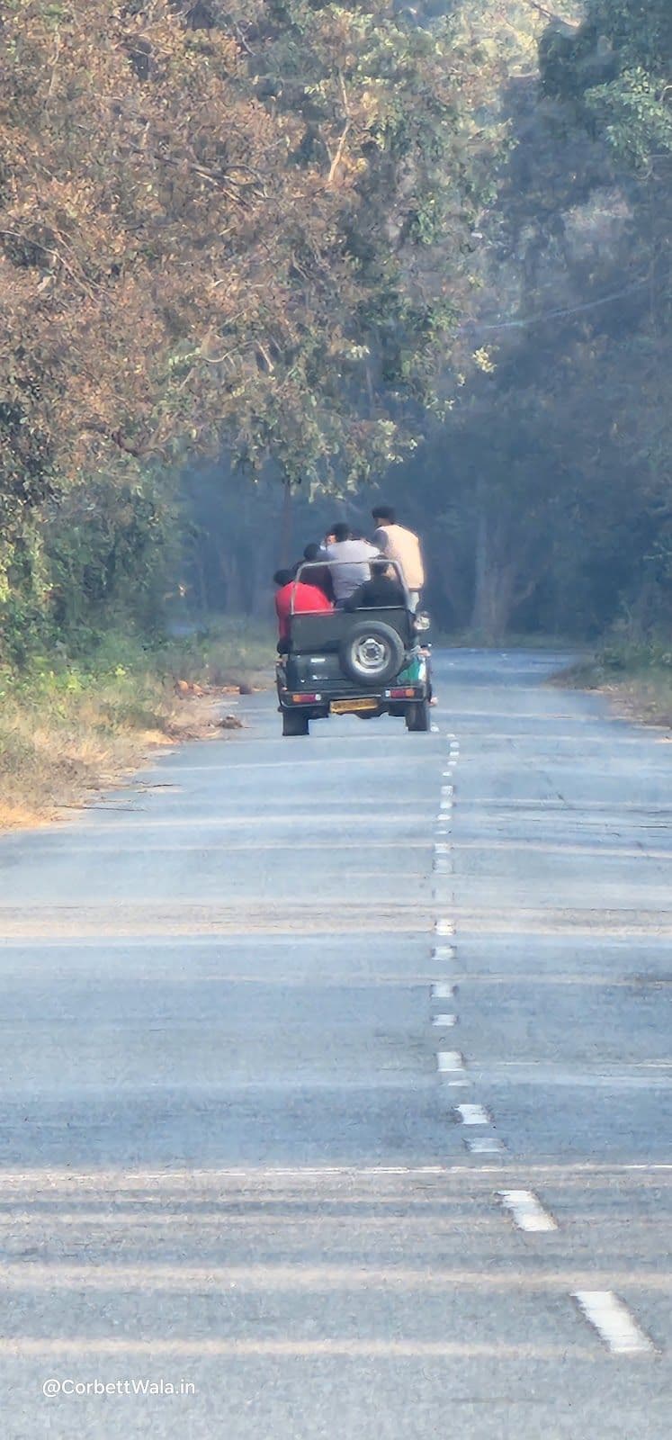 Family Homestay w/ Kumauni Food, Uttarakhand in Uttarakhand 8