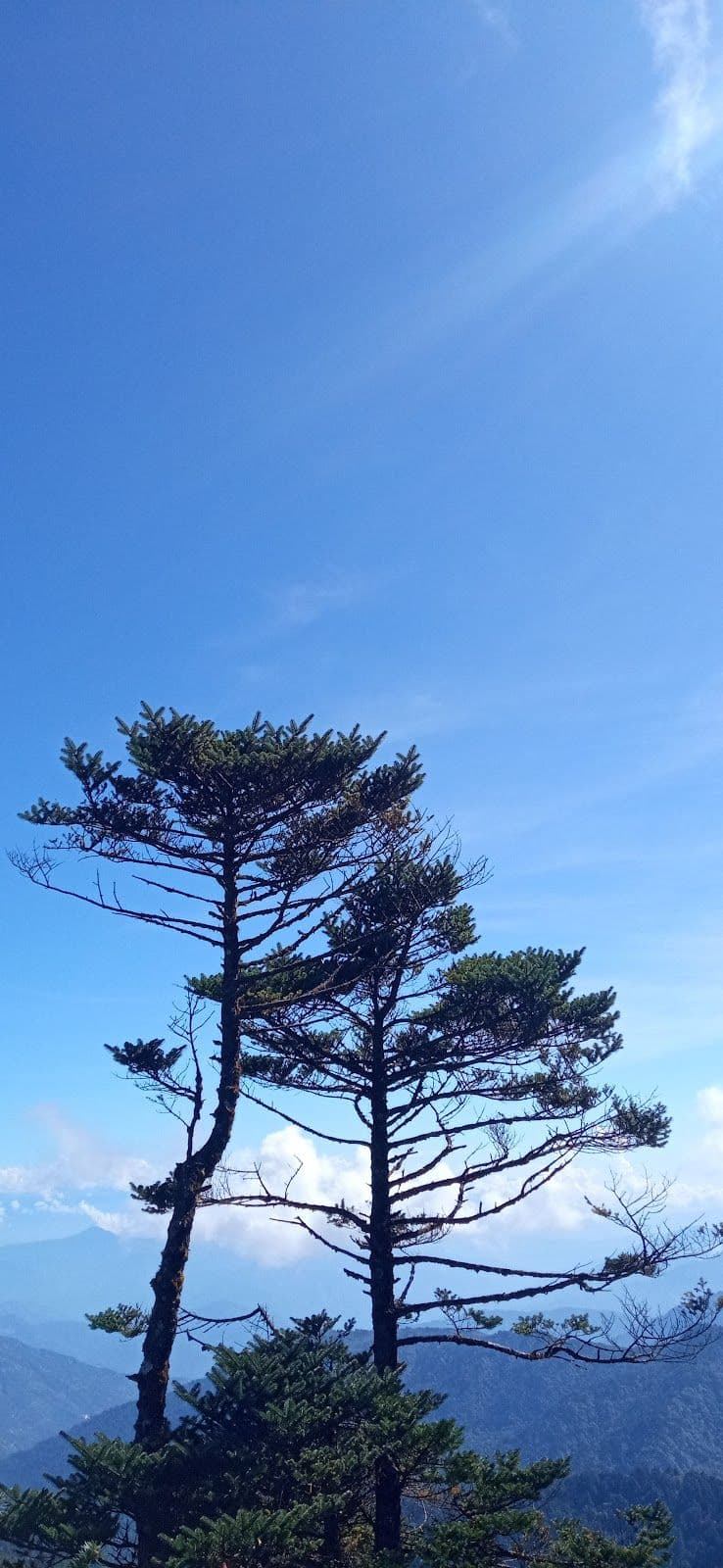 Tranquil Himalayan Retreat with Peaceful Vibes in Mabu , Nepal 8