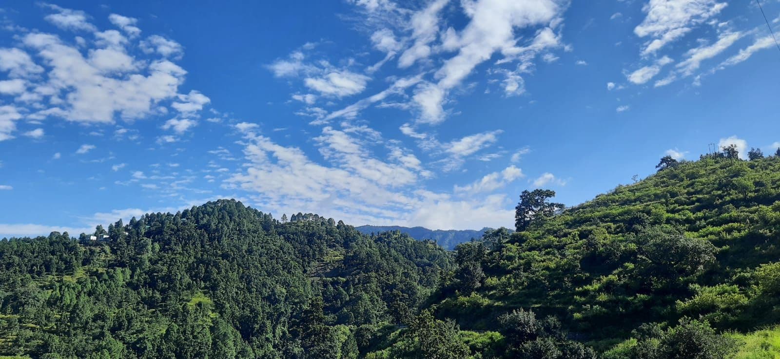 Mountain Homestay w/ Forest Views, Uttarakhand in Manthala, Uttarakhand 8