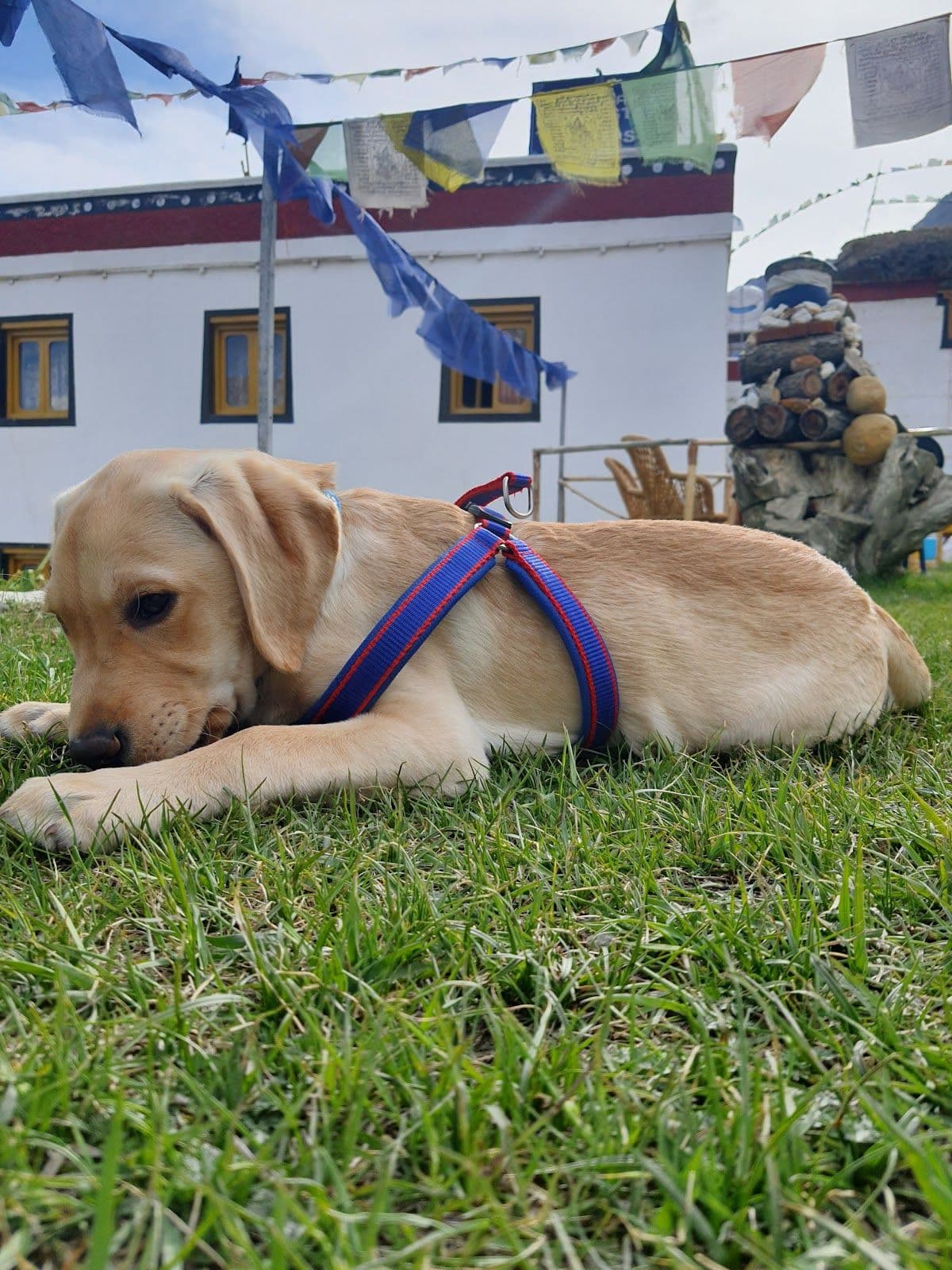 Mud Homestay w/ Heated Beds & Home Meals, HP in Tabo, HP 8