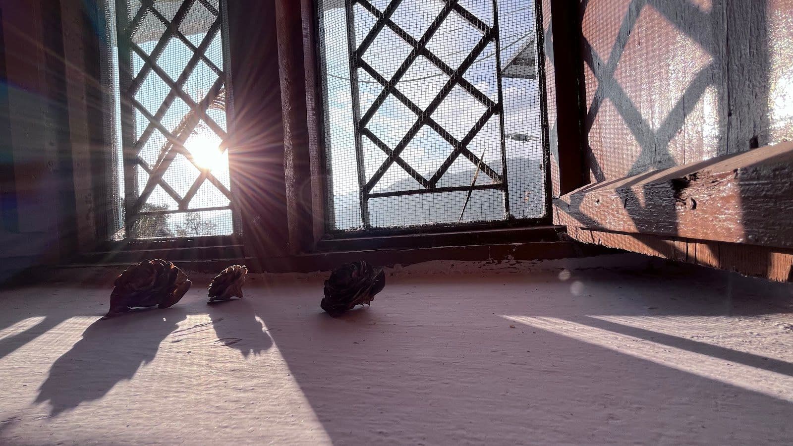 Mountain Homestay w/ Home Meals & Views in Lohajang, Uttarakhand 8