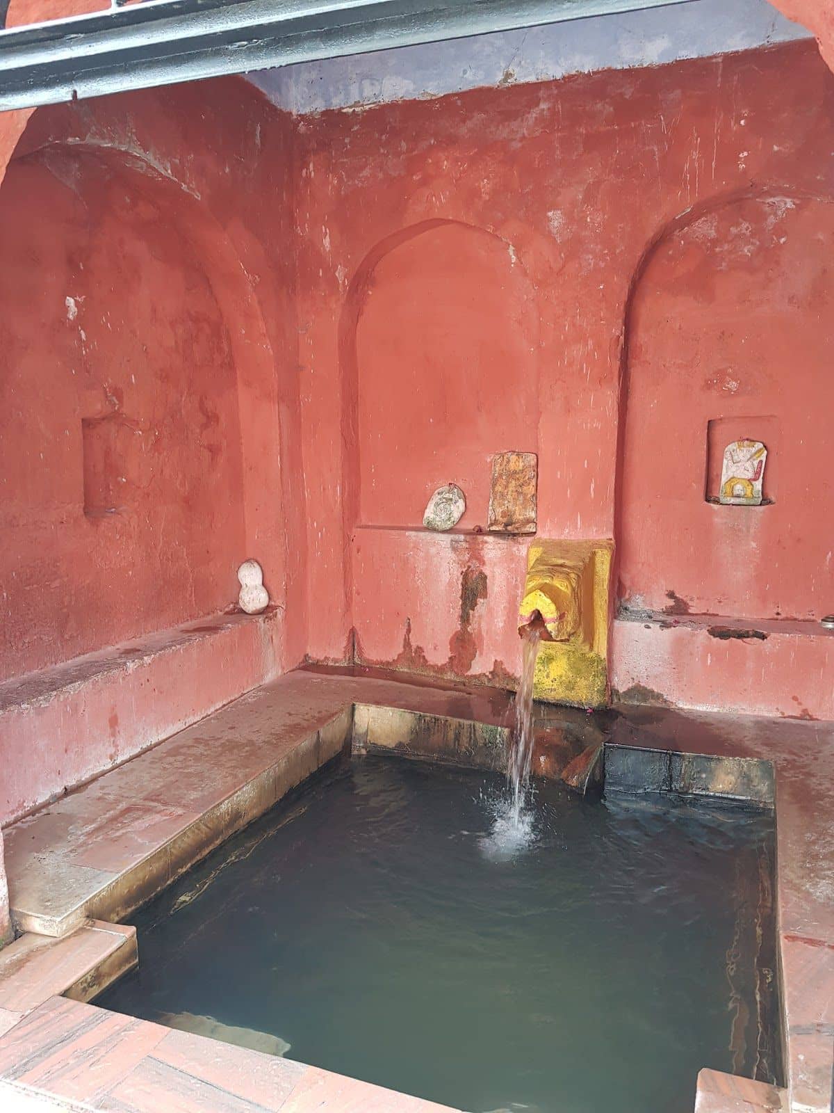 Mountain w/ Trek Access & Meals, HP - Kareri Khas, HP photo 4