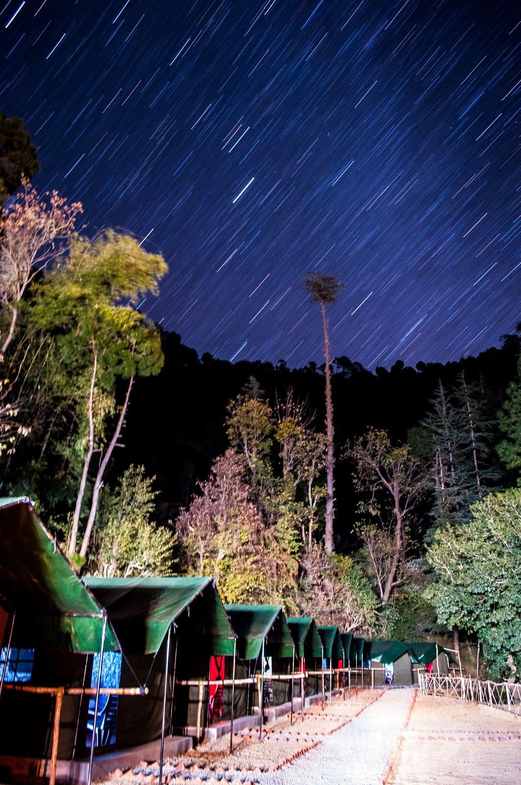 Forest Tents w/ Adventure & Home Meals, HP in Chail, HP 1