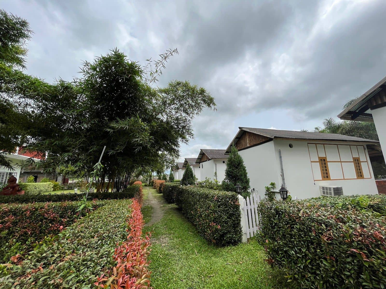 Wildlife Bungalow, Safari & Delicious Food, Assam - photo 5