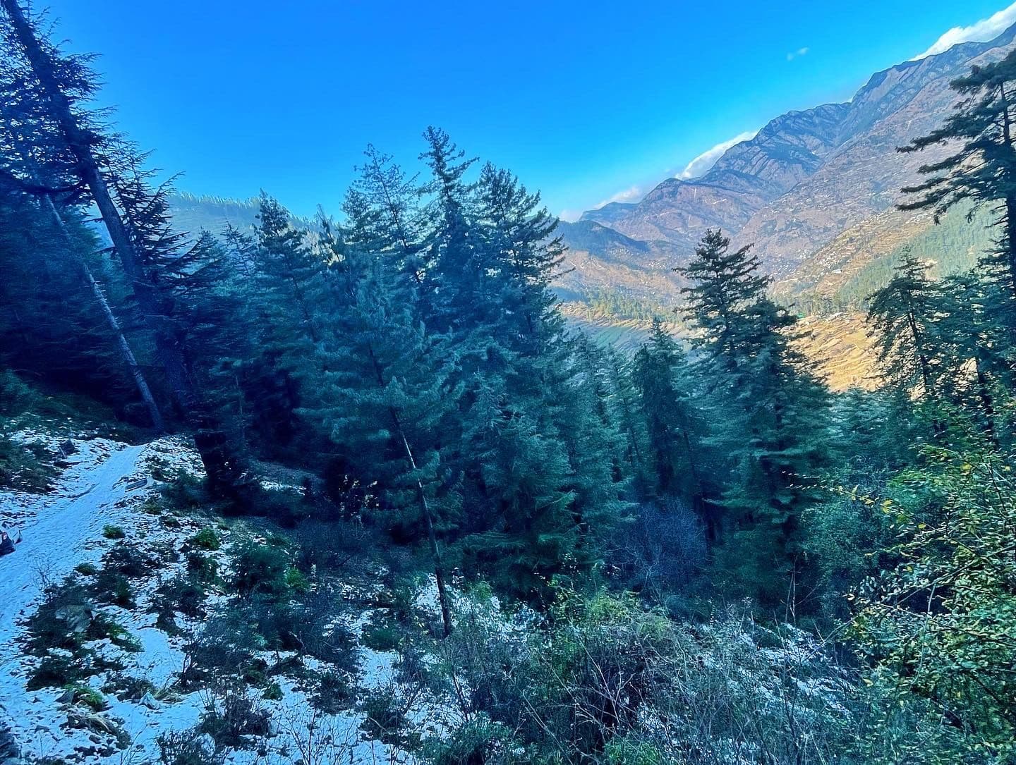 Treehouse & Cottages w/ Valley Views, HP in Banjar, HP 5