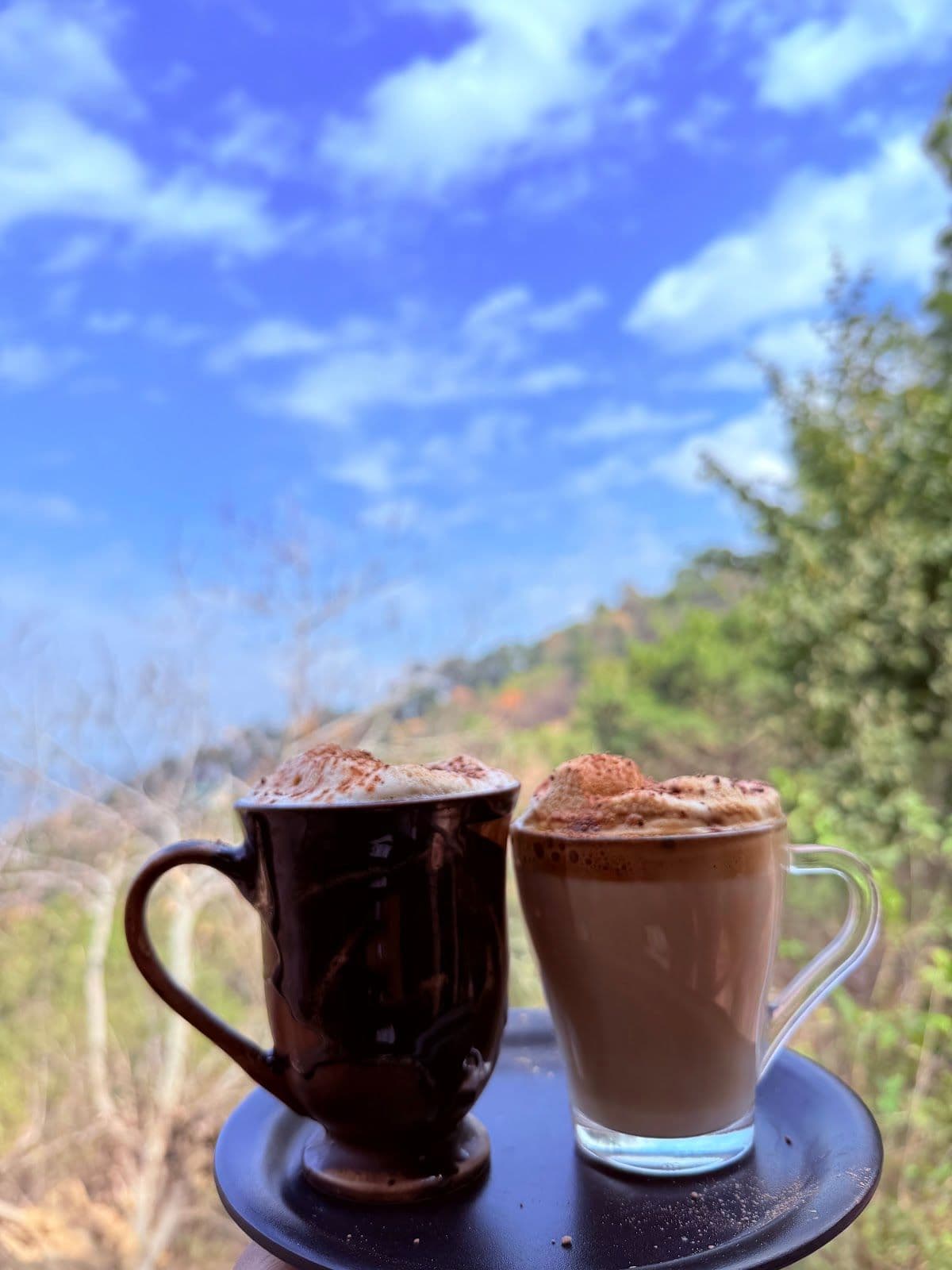 Peaceful Homestay w/ Pine Forest Views, HP in Himachal Pradesh 8