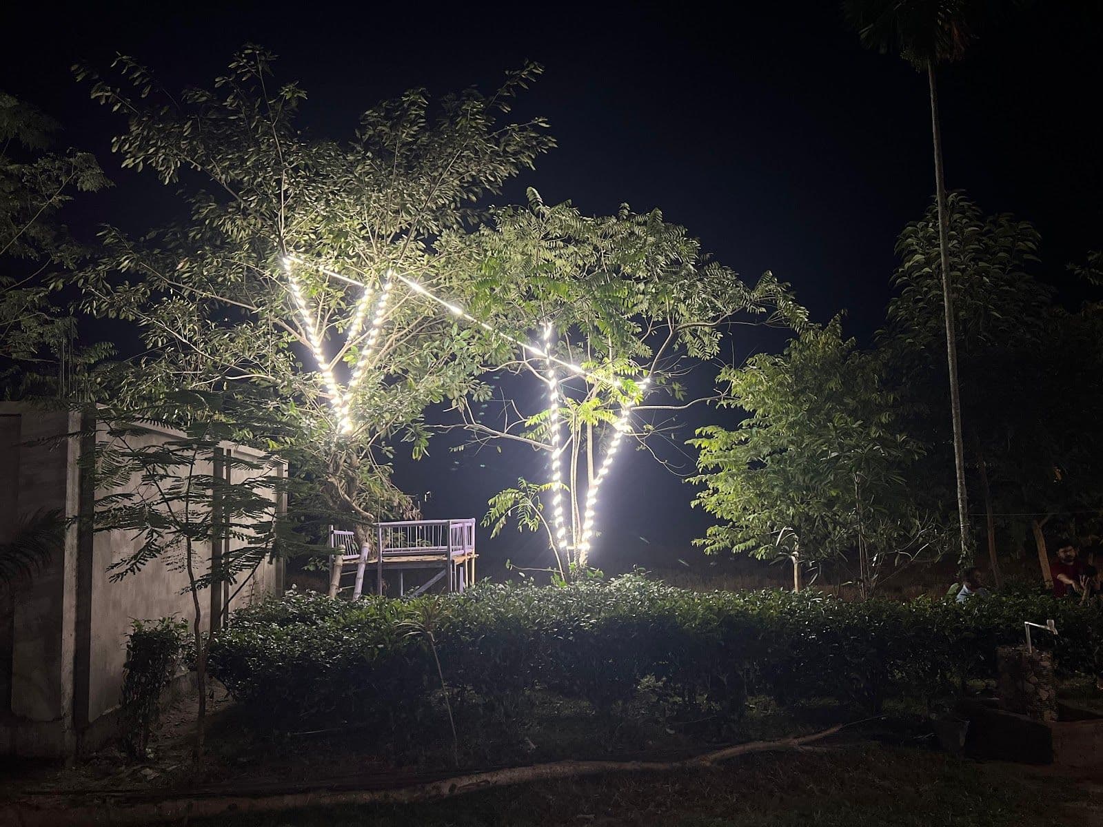 Jungle Vibes Retreat: Fresh Food & Welcoming in Kaziranga 8