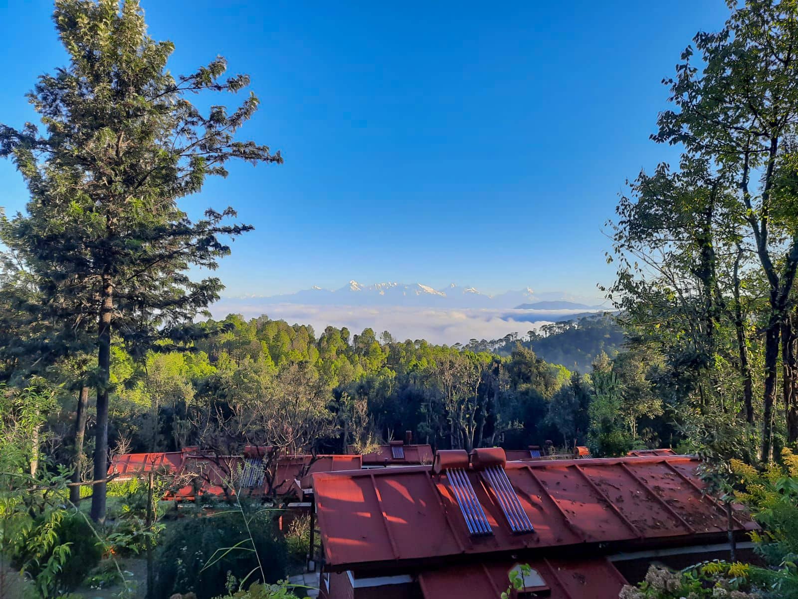 Wooden Cottage w/ Mountain Views & Food - Uttarakhand photo 4