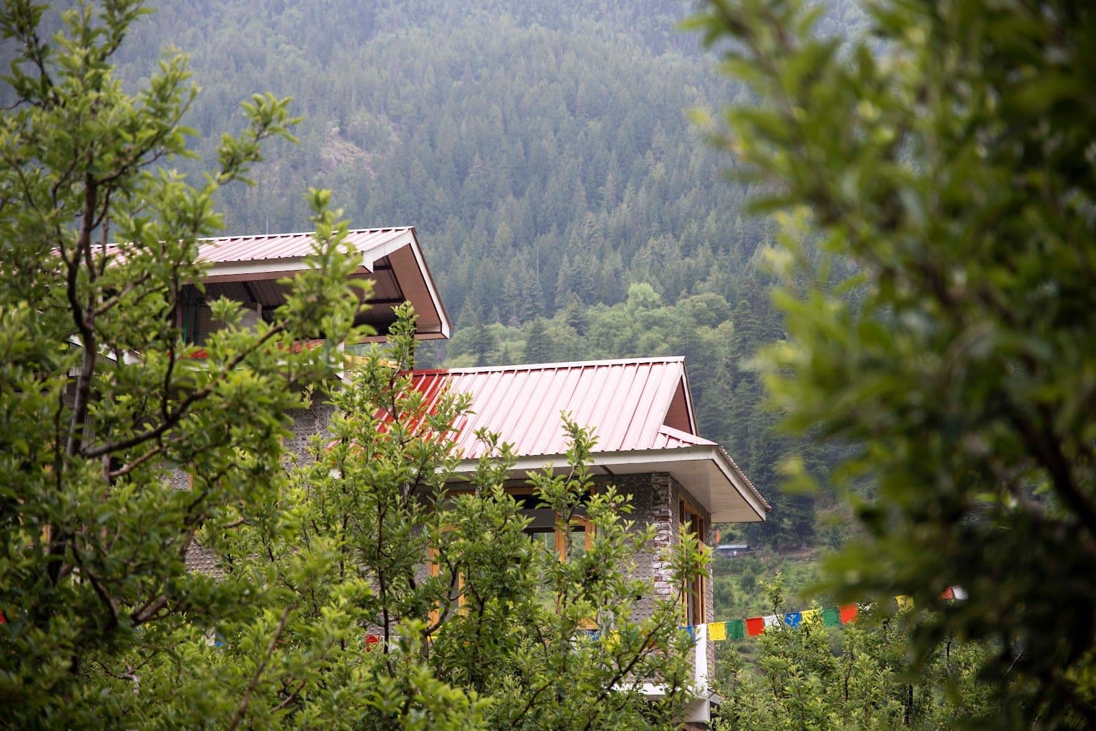 Himalayan Homestay w/ River & Baspa Lake, HP in Himachal Pradesh 8