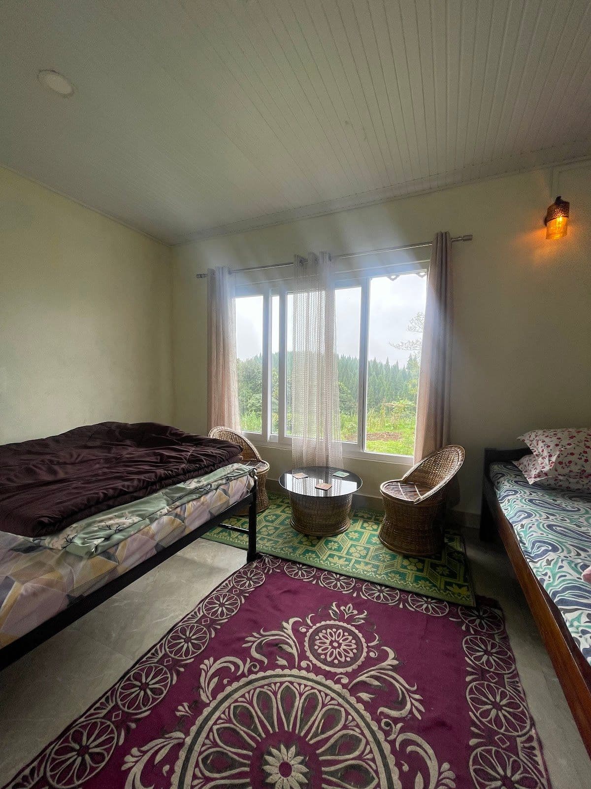 The Ultimate Cozy Escape for Nature Lovers in Kurseong 2