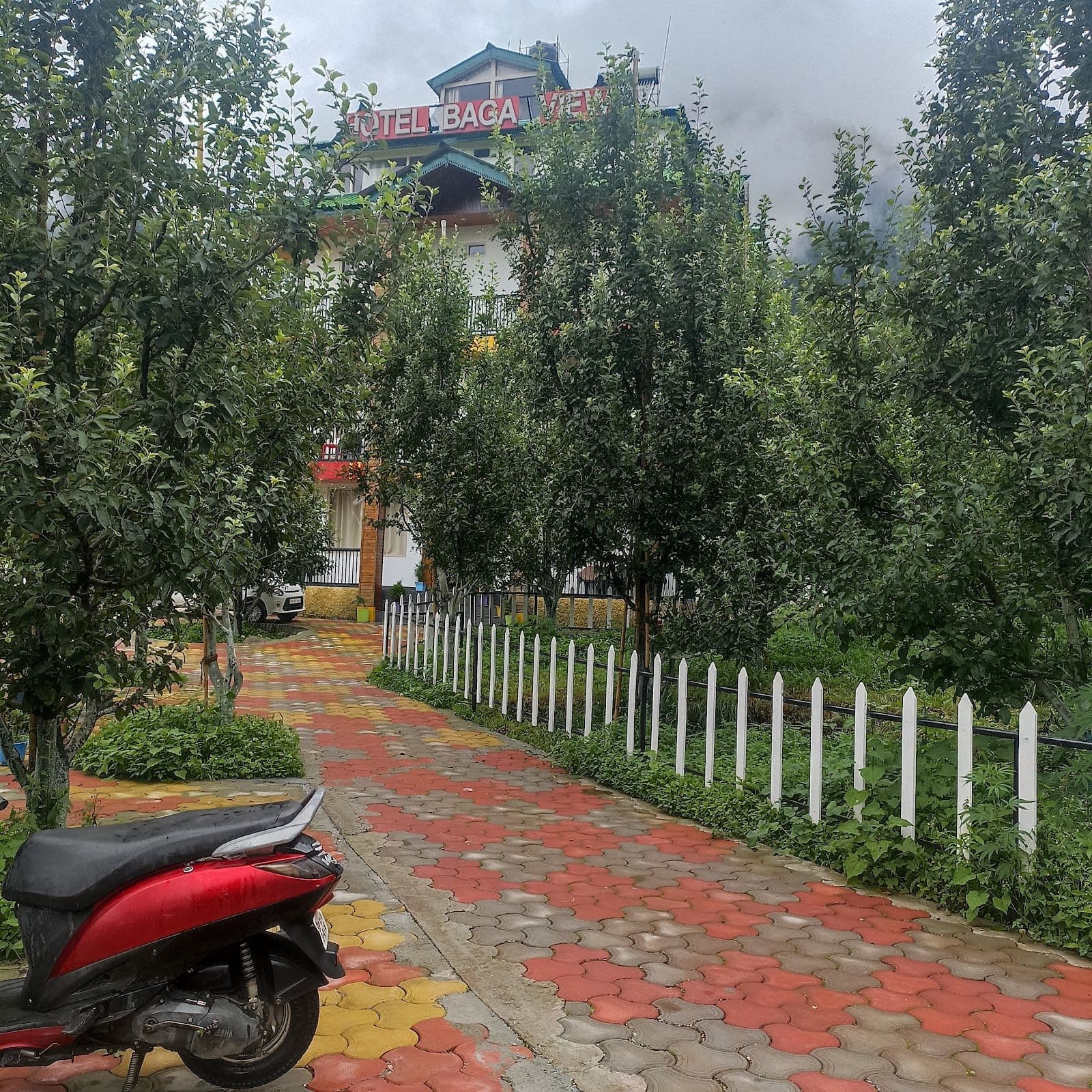 Mountain Homestay w/ Cedar Trees & Views, HP in Sarahan, HP 8