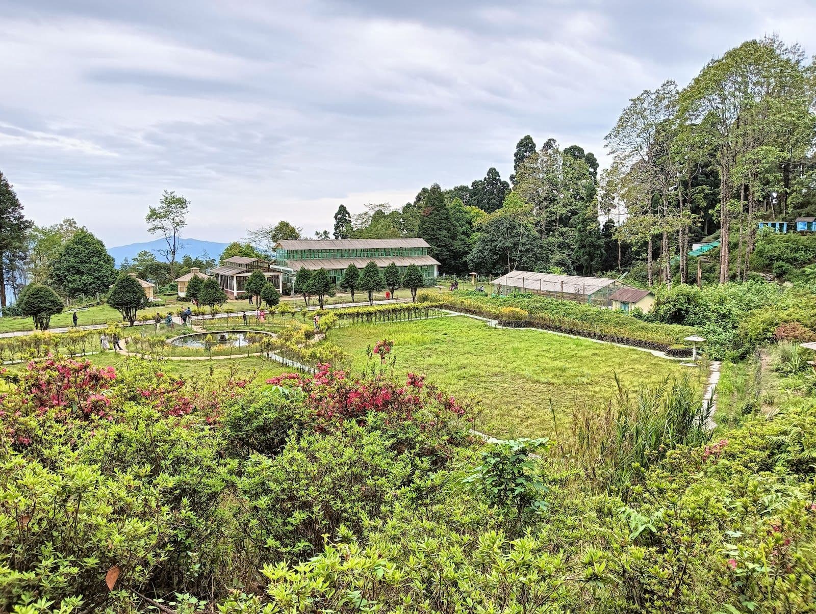 Your Sanctuary in the Woods where serenity awaits in Takdah 1