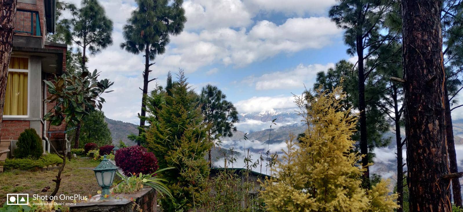 Luxury Resort in , | Boutique Family Resort | | - Jabarkhet photo 5