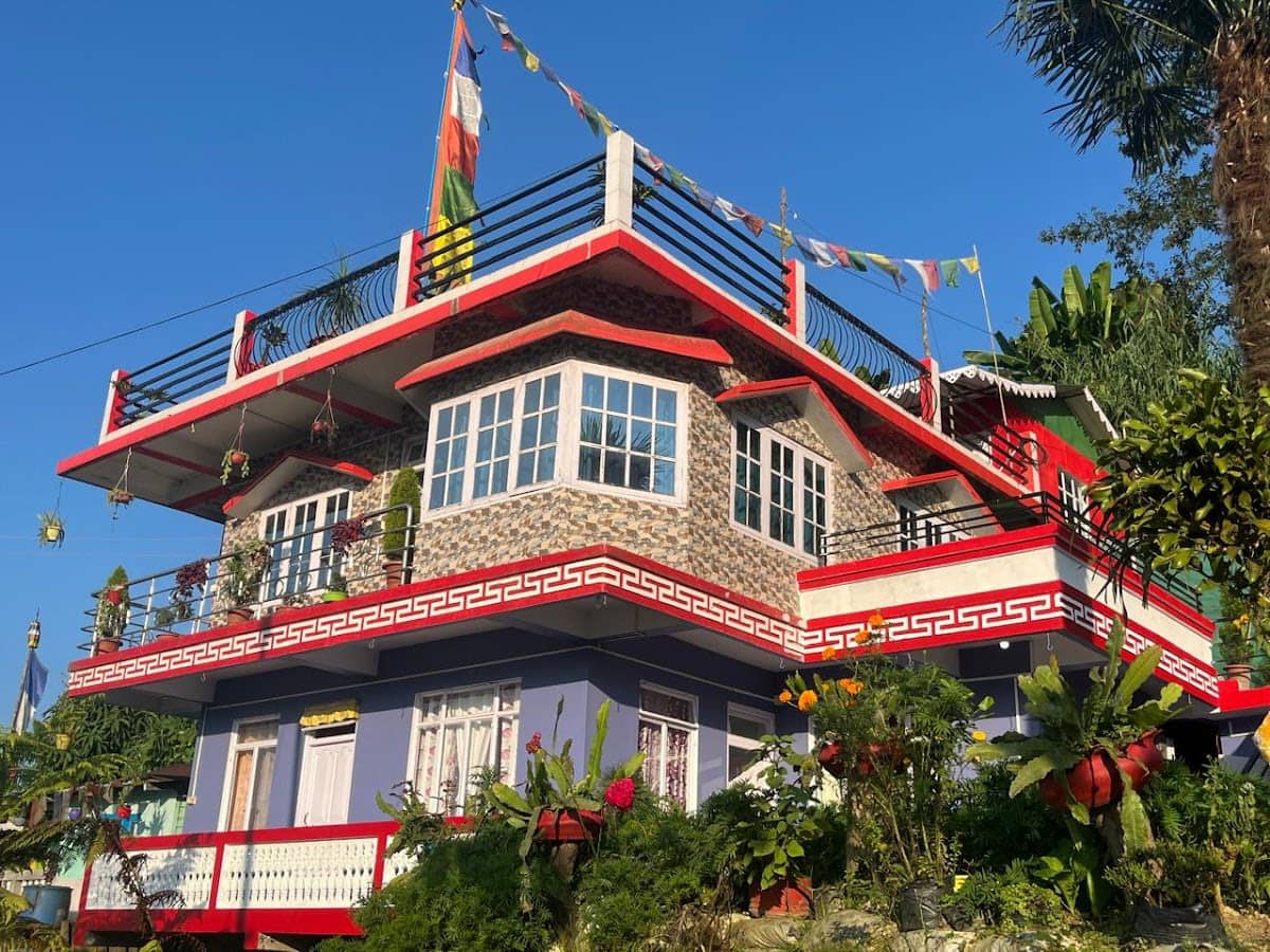 Perfect blend of Tea garden and Kanchenjunga - Mim Tea Garden